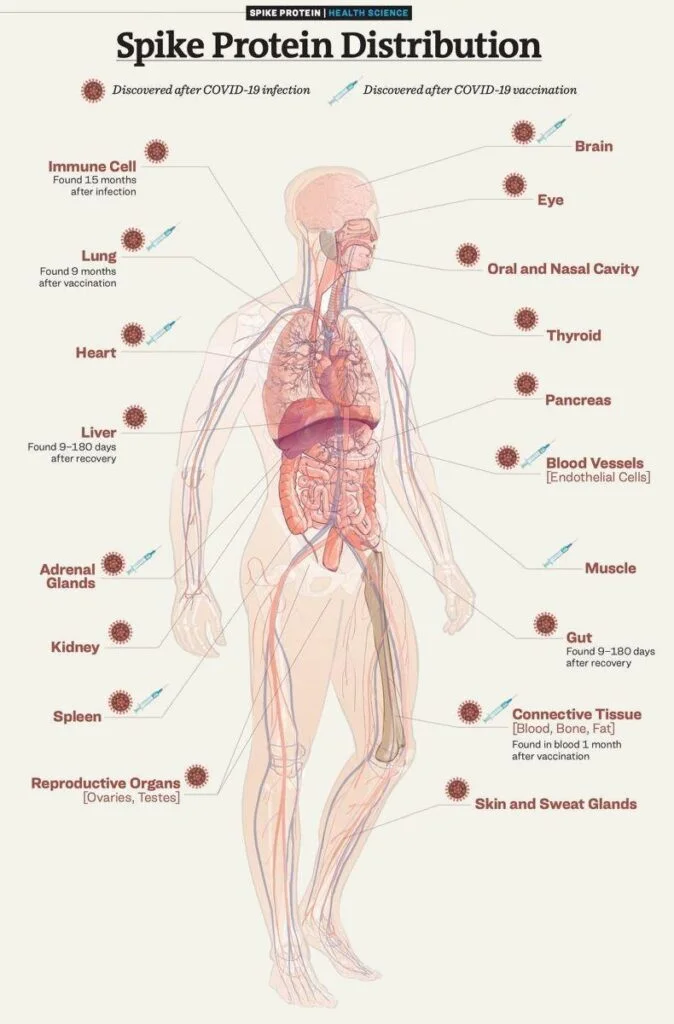 Spike Protein Distribution Map