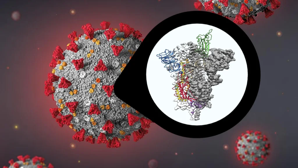 Spike Protein Zoomed